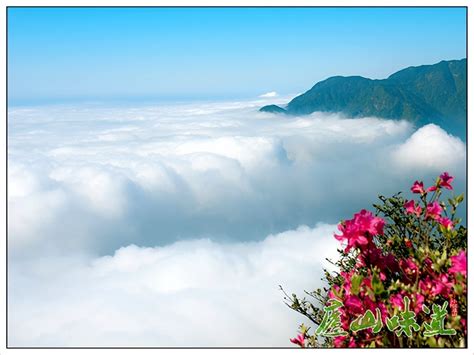  Lushan Yunhai Turist Alanı: Görkemli Bir Bulut Denizi ve Doğanın Kalbinde Bir Macera!