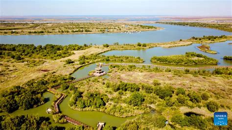  Dongying Yellow River Delta National Nature Reserve: Keşfetmeye Değer Büyülü Bir Ekolojik Cennet!